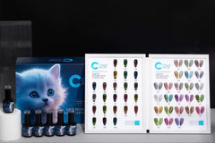 Chisel cat eyes collection 24 colors with 2 magnets